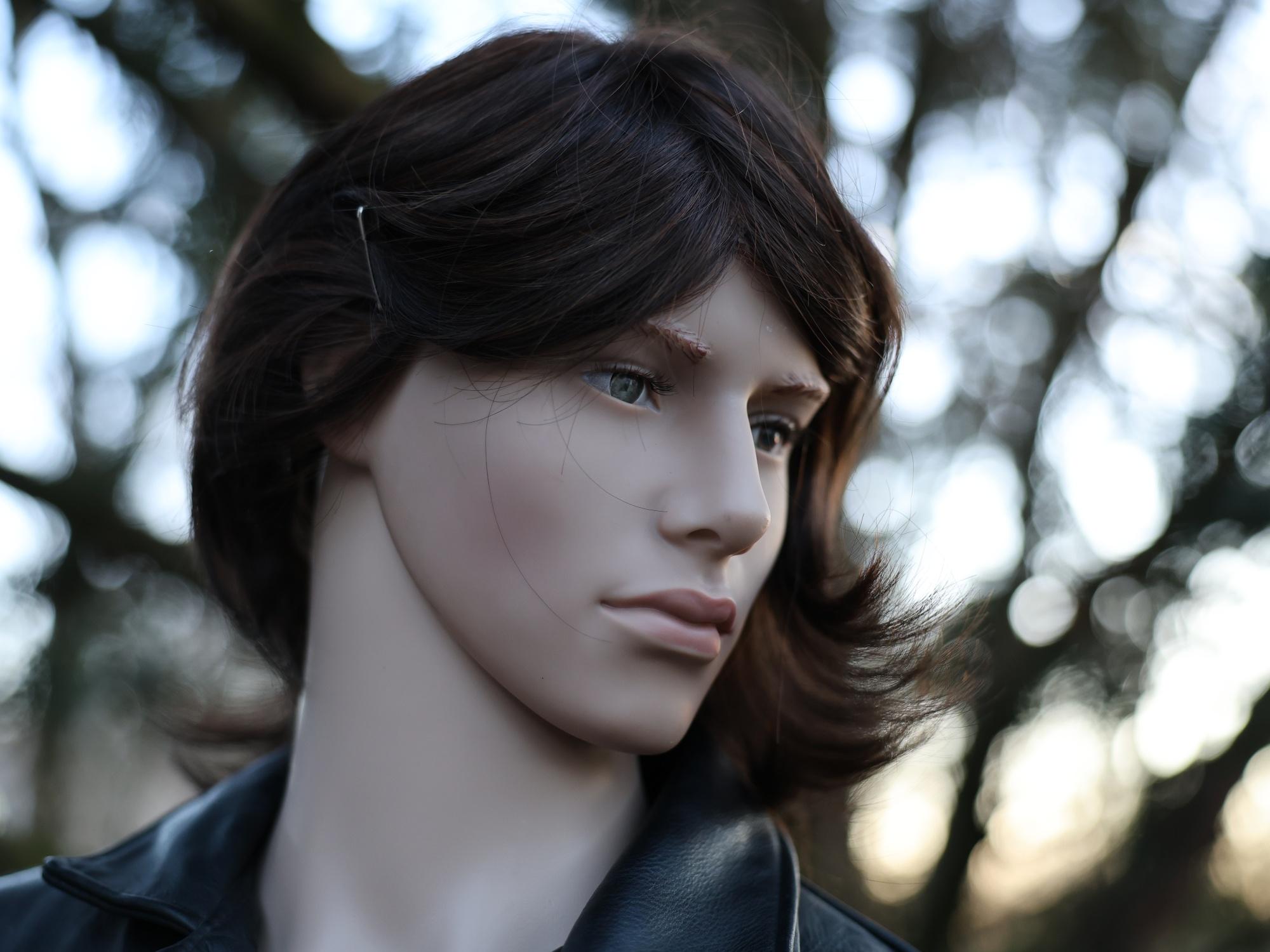Dataset Example puppet at f2.0