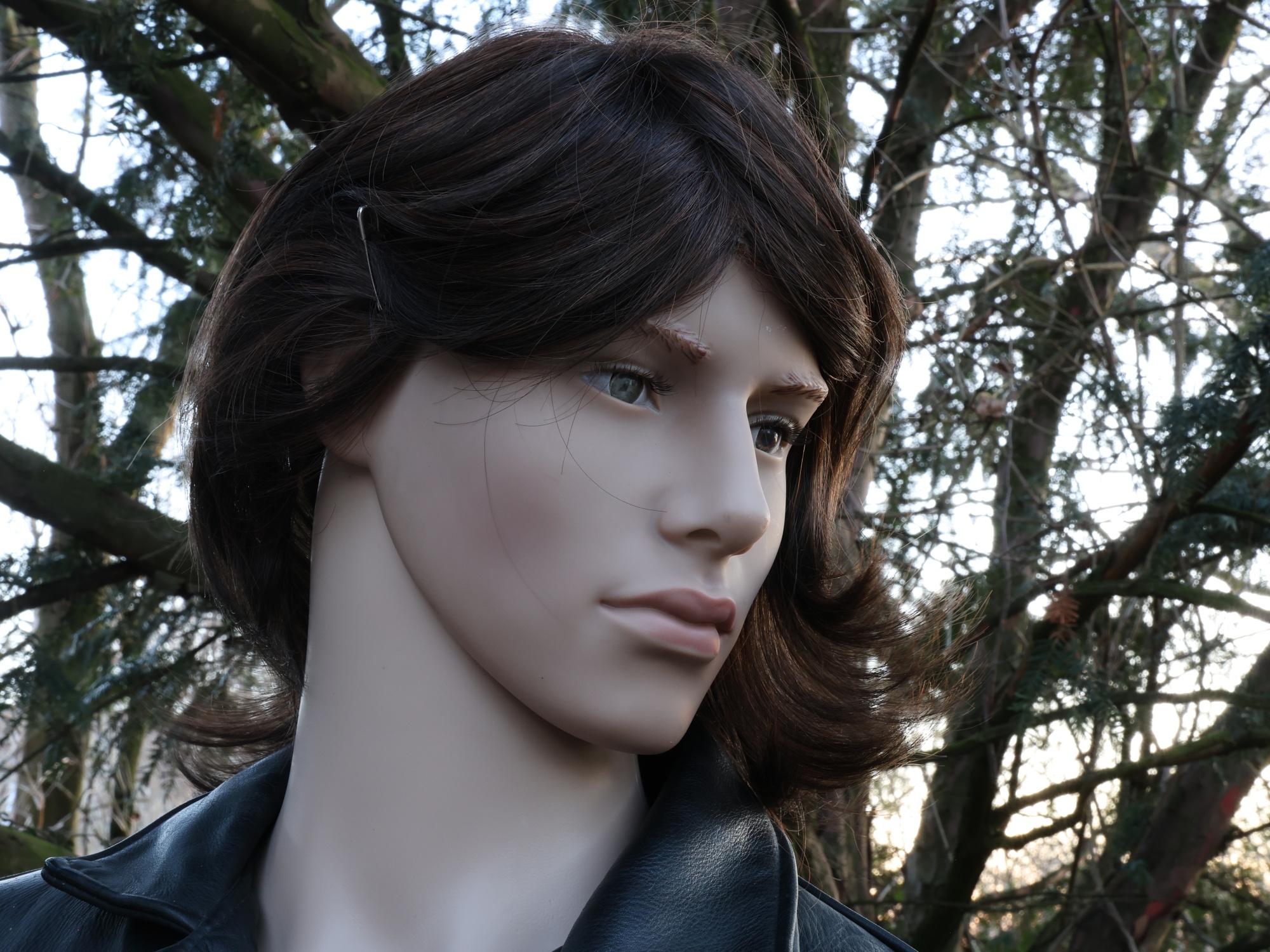 Dataset Example puppet at f22.0