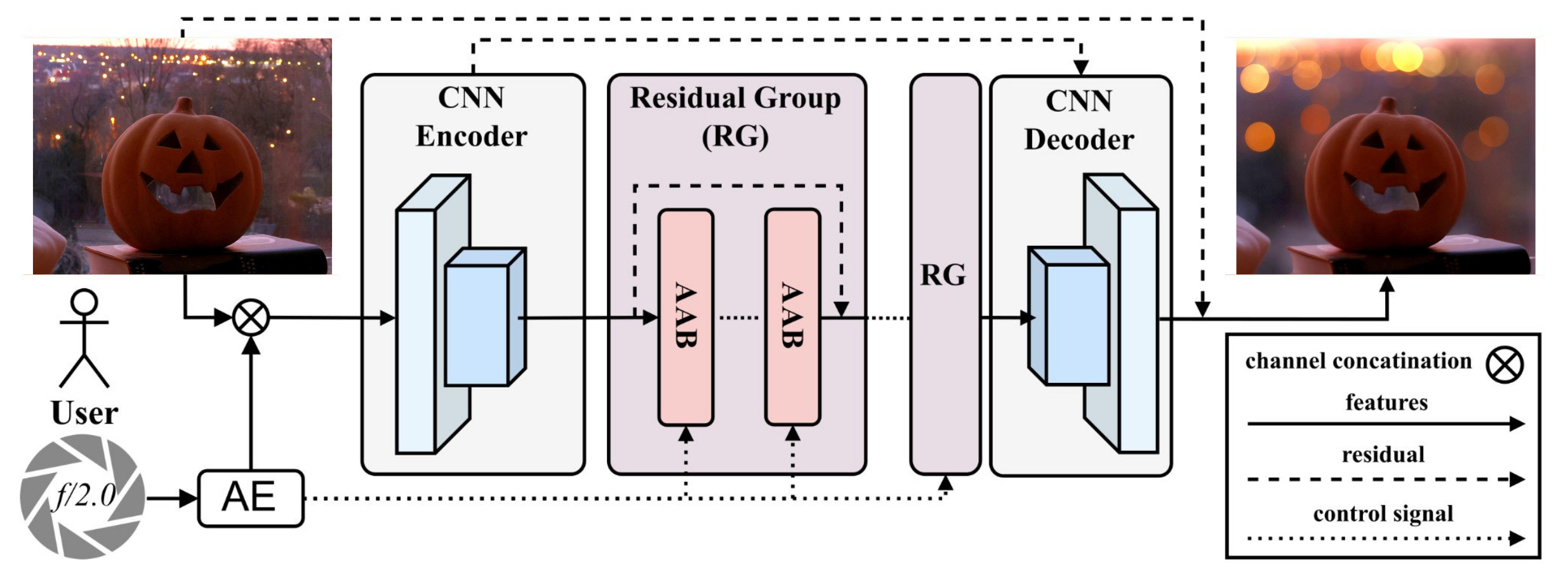 Overview of our Network Architecture